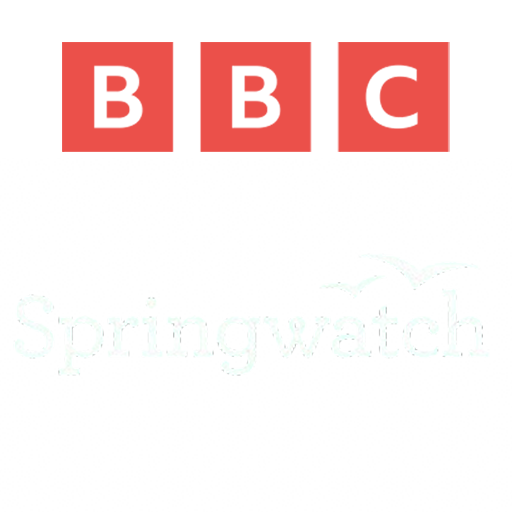 UK | BBC Springwatch